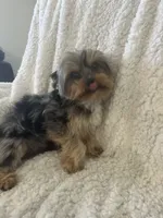 processed/6d59dcf4-e5d8-4565-a8ff-77ad005e27f8/listing/5b2e2ec6-a9a4-4ccd-a931-610fce7495d2/3f9742b3-4428-4179-8f5d-1a3d20098cb2