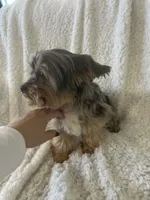 processed/6d59dcf4-e5d8-4565-a8ff-77ad005e27f8/listing/5b2e2ec6-a9a4-4ccd-a931-610fce7495d2/cca5562d-441b-4063-af70-f128be412c39