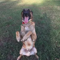 processed/6d59ef67-c81f-42a4-af15-1fb396d84bb1/facility/043ebeb8-92ef-4445-aa91-ff3fa2a73be5