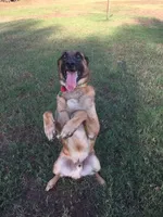 processed/6d59ef67-c81f-42a4-af15-1fb396d84bb1/facility/043ebeb8-92ef-4445-aa91-ff3fa2a73be5