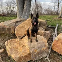 processed/6d59ef67-c81f-42a4-af15-1fb396d84bb1/facility/55f17ae9-dc53-455e-b30b-390542b1a45c