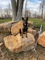 processed/6d59ef67-c81f-42a4-af15-1fb396d84bb1/facility/55f17ae9-dc53-455e-b30b-390542b1a45c