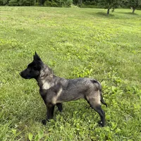 processed/6d59ef67-c81f-42a4-af15-1fb396d84bb1/facility/6a3e4bea-90f4-4973-b859-3ed21c996946