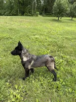 processed/6d59ef67-c81f-42a4-af15-1fb396d84bb1/facility/6a3e4bea-90f4-4973-b859-3ed21c996946