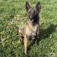 processed/6d59ef67-c81f-42a4-af15-1fb396d84bb1/facility/9443e7f0-571e-4879-b163-61130d012271