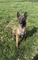 processed/6d59ef67-c81f-42a4-af15-1fb396d84bb1/facility/9443e7f0-571e-4879-b163-61130d012271