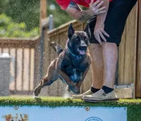 processed/6d59ef67-c81f-42a4-af15-1fb396d84bb1/facility/c4d95916-2072-44f6-8cf7-964d5a9fa9ad