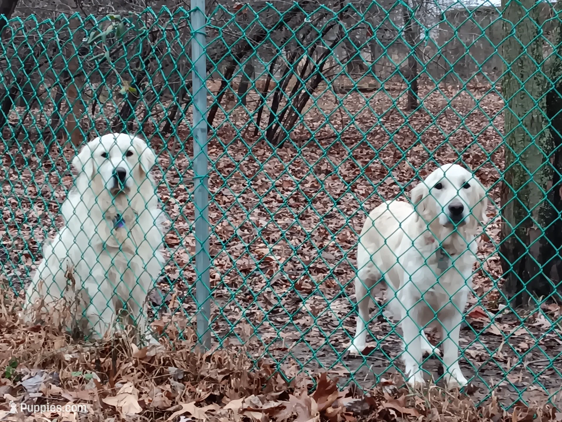 processed/6d5ef456-049e-4512-835f-ee19076c0781/facility/04c3ab1e-f334-4807-ad1b-b7f669adbd50