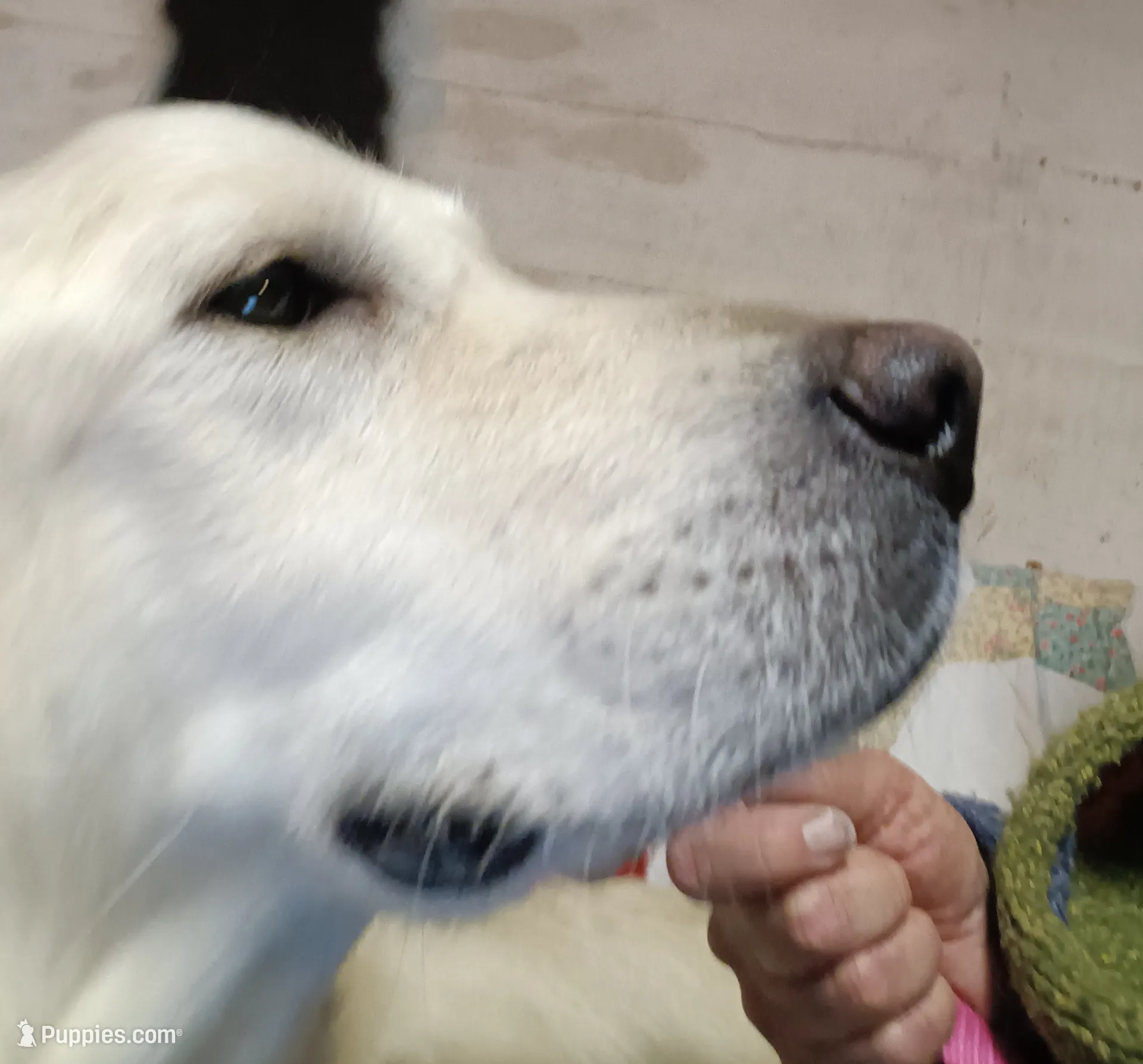 processed/6d5ef456-049e-4512-835f-ee19076c0781/facility/29cb9187-7e0a-4495-be4f-1b67a4003943