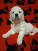 processed/6d5ef456-049e-4512-835f-ee19076c0781/facility/89a7ad3d-3915-4f32-8e5b-6f2309d9f008