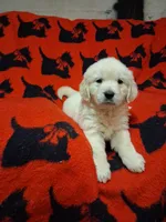 processed/6d5ef456-049e-4512-835f-ee19076c0781/facility/8a15fe40-a4b6-431f-86e9-7a6abd7bb67f