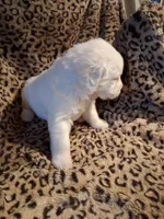 processed/6d5ef456-049e-4512-835f-ee19076c0781/listing/5a585e32-8b08-40be-9903-6bf7fec9077b/0a9d00c6-9d59-4f2f-8afc-d1b3163092b9