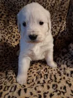 processed/6d5ef456-049e-4512-835f-ee19076c0781/listing/5a585e32-8b08-40be-9903-6bf7fec9077b/4ca47d61-d7b2-4946-a332-327686732165