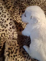 processed/6d5ef456-049e-4512-835f-ee19076c0781/listing/5a585e32-8b08-40be-9903-6bf7fec9077b/55fb43df-aba4-4b75-83bf-a2f5ede1ca3e