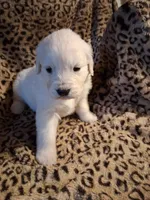 processed/6d5ef456-049e-4512-835f-ee19076c0781/listing/5a585e32-8b08-40be-9903-6bf7fec9077b/6a87495b-6b2e-4bca-abc4-bf24c9c52ed0