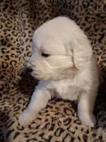 processed/6d5ef456-049e-4512-835f-ee19076c0781/listing/5a585e32-8b08-40be-9903-6bf7fec9077b/9bd24895-6b22-44fa-b240-72c1a342f213