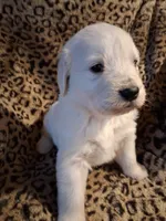 processed/6d5ef456-049e-4512-835f-ee19076c0781/listing/5a585e32-8b08-40be-9903-6bf7fec9077b/a8f8d9cf-6f6c-4850-94fc-385829d2b16b