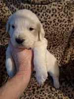 processed/6d5ef456-049e-4512-835f-ee19076c0781/listing/9b4d5497-d0d4-41eb-9639-ea6052efad49/19f0c482-16f1-47dc-9fd3-3592e6b316d4