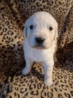 processed/6d5ef456-049e-4512-835f-ee19076c0781/listing/9b4d5497-d0d4-41eb-9639-ea6052efad49/2b277f84-d80e-41d5-9cb2-188f508af130