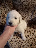 processed/6d5ef456-049e-4512-835f-ee19076c0781/listing/9b4d5497-d0d4-41eb-9639-ea6052efad49/85283b1c-5b7f-424b-be4e-e4df20251dba