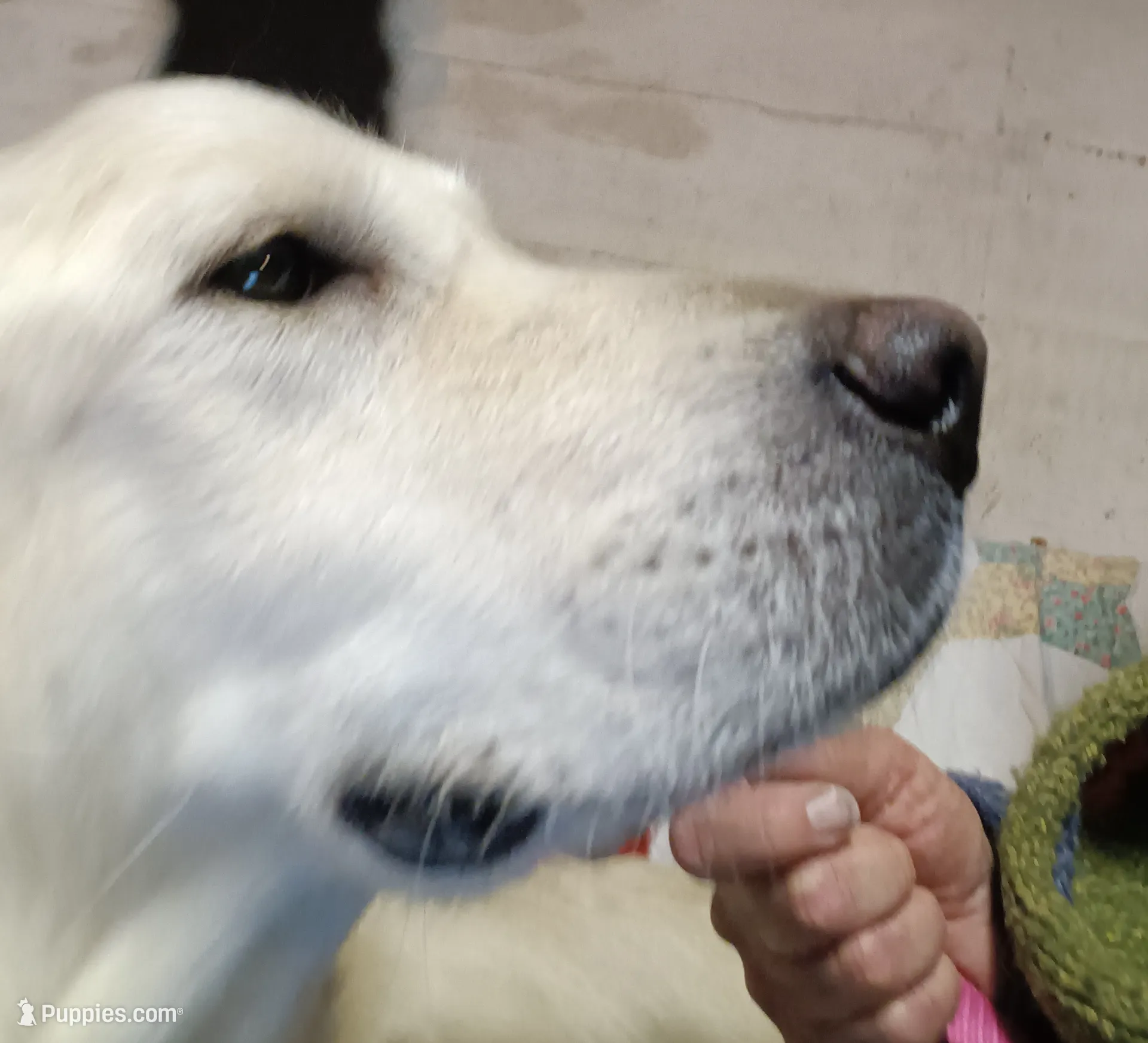 processed/6d5ef456-049e-4512-835f-ee19076c0781/listing/9b4d5497-d0d4-41eb-9639-ea6052efad49/bcf6b36e-15fa-4821-854a-b305d6033a13