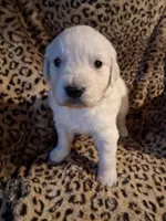 processed/6d5ef456-049e-4512-835f-ee19076c0781/listing/9b4d5497-d0d4-41eb-9639-ea6052efad49/d53b449f-dcbf-4a63-ac23-e6453f707e42