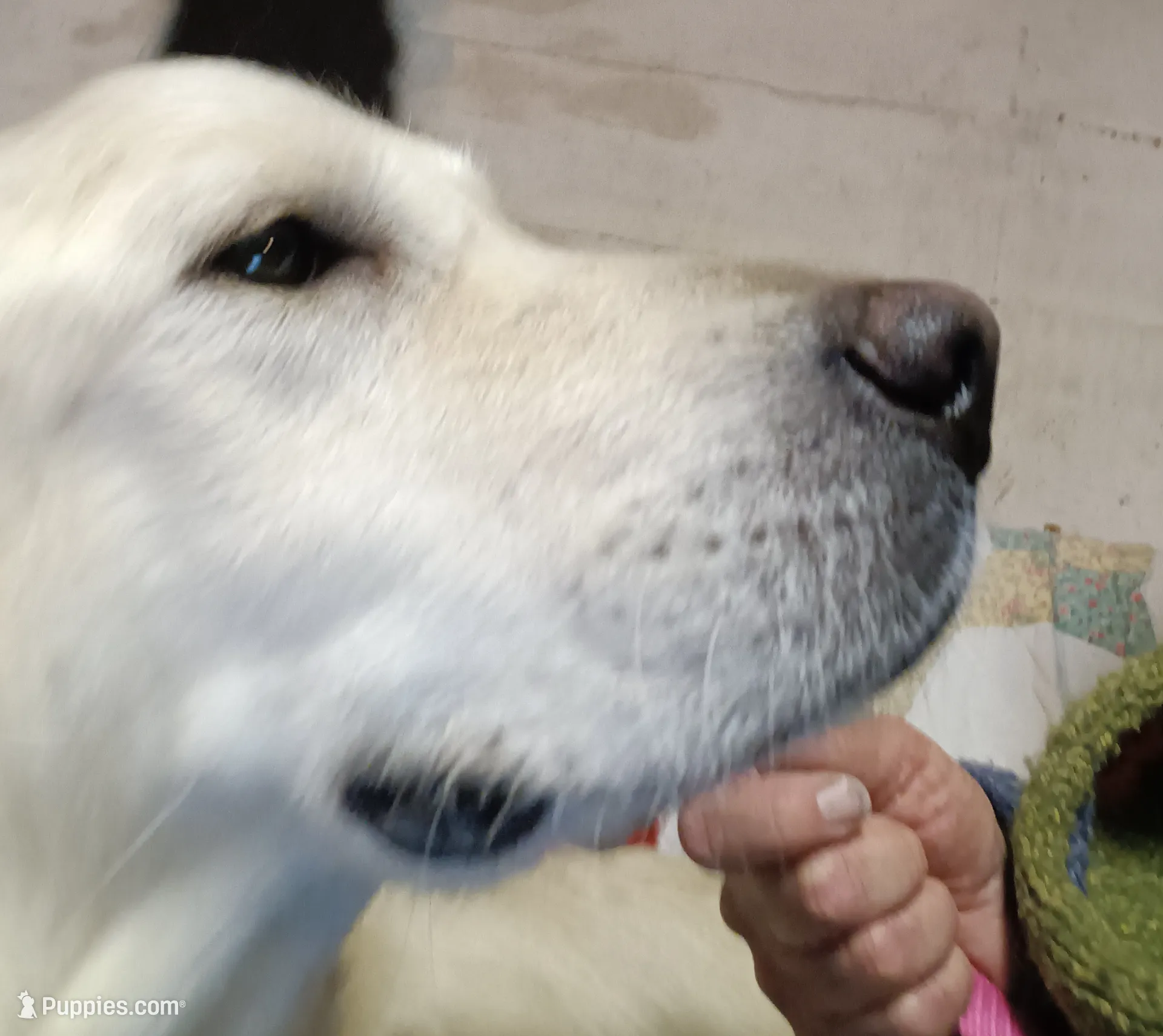 processed/6d5ef456-049e-4512-835f-ee19076c0781/listing/a7370a64-7c3a-4788-9642-413bfce0132e/10926689-b3dc-48f1-b9f6-a2ad50e5482b