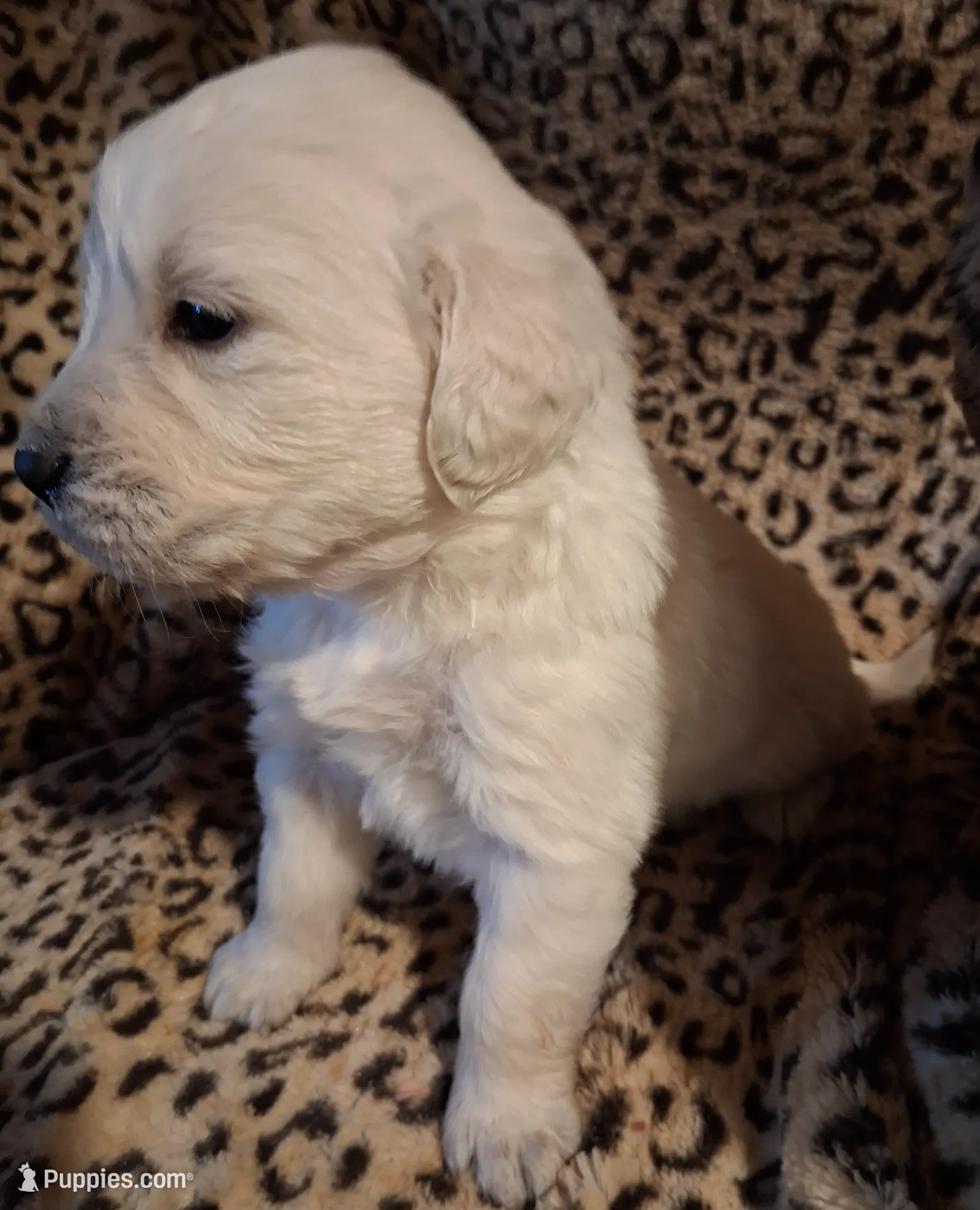 processed/6d5ef456-049e-4512-835f-ee19076c0781/listing/a7370a64-7c3a-4788-9642-413bfce0132e/482d0449-c828-4784-be80-c3b6b41266fc