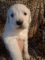 processed/6d5ef456-049e-4512-835f-ee19076c0781/listing/a7370a64-7c3a-4788-9642-413bfce0132e/5977ace3-6f3d-4275-be53-67dcad0cb18d