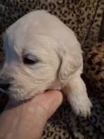 processed/6d5ef456-049e-4512-835f-ee19076c0781/listing/a7370a64-7c3a-4788-9642-413bfce0132e/86172fde-a7cc-455b-b735-53d241ad8c68