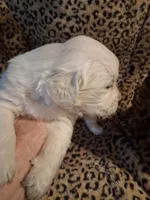 processed/6d5ef456-049e-4512-835f-ee19076c0781/listing/a7370a64-7c3a-4788-9642-413bfce0132e/d0e1a0e1-bbbf-4d41-be53-235750f03e28