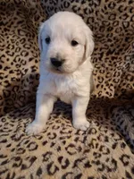 processed/6d5ef456-049e-4512-835f-ee19076c0781/listing/e26b081d-38fd-470d-9d86-de3bf11918a6/5db23849-728d-44e1-b174-ba2a663dac91