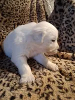 processed/6d5ef456-049e-4512-835f-ee19076c0781/listing/e26b081d-38fd-470d-9d86-de3bf11918a6/69f30e57-77be-490a-884b-6bcf03852c60