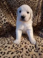 processed/6d5ef456-049e-4512-835f-ee19076c0781/listing/e26b081d-38fd-470d-9d86-de3bf11918a6/6a16e29b-8d3d-410d-9c7b-8cea37800690