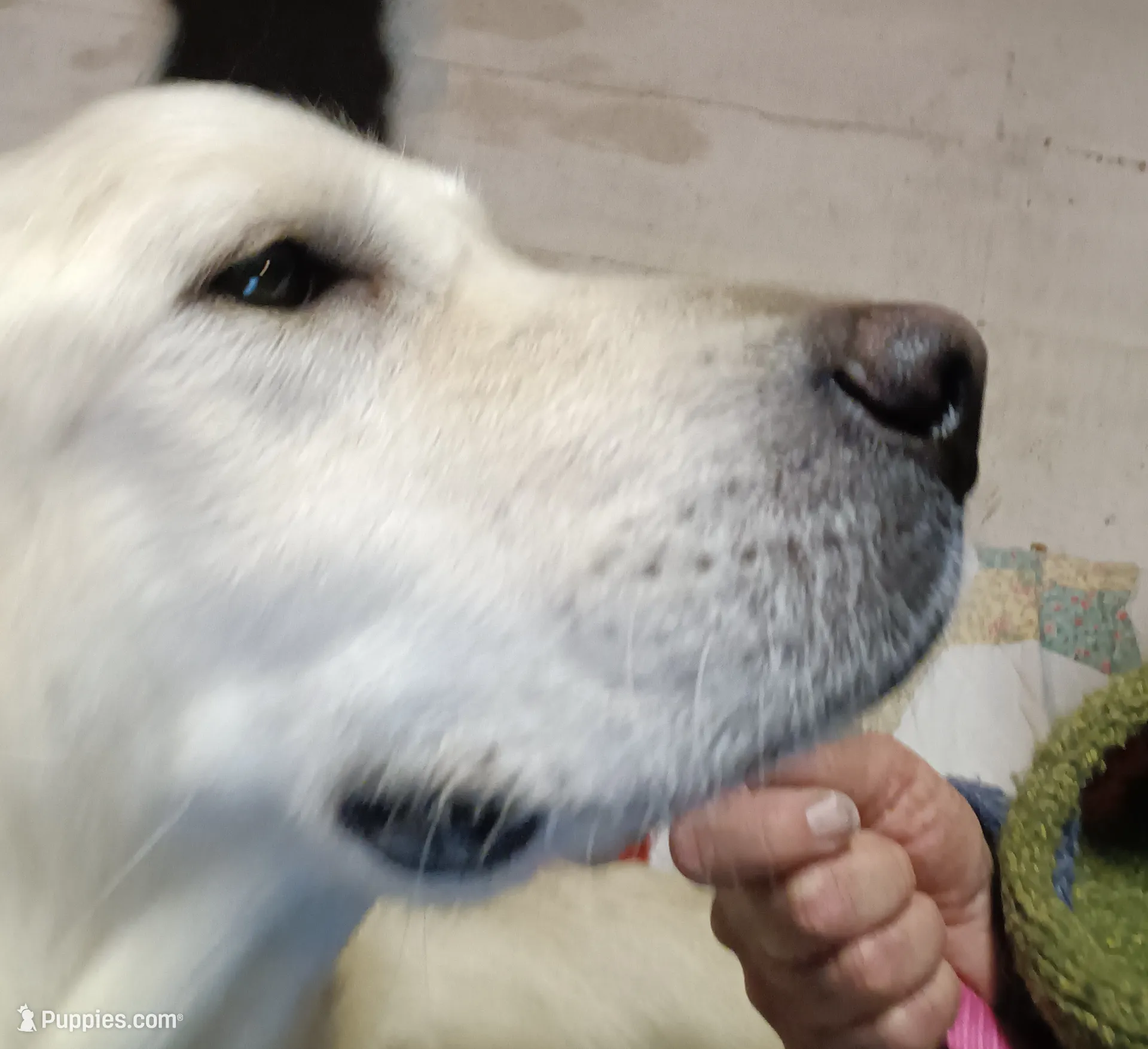 processed/6d5ef456-049e-4512-835f-ee19076c0781/listing/e26b081d-38fd-470d-9d86-de3bf11918a6/8a15295f-2b53-44d0-bad7-4767cce91c34