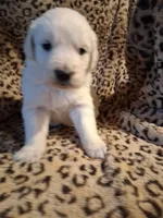 processed/6d5ef456-049e-4512-835f-ee19076c0781/listing/e26b081d-38fd-470d-9d86-de3bf11918a6/8d6389f7-79c2-45f8-b226-6d745fc58234