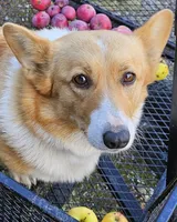 processed/6d6c26bf-4661-48cb-97c3-cfa25334c9c7/facility/c6c448f7-1d8f-4850-acee-76ef2b85074c