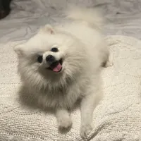 processed/6d6e8318-76b1-4236-b4e4-153238e952cc/facility/030100ab-d518-40b9-bd7e-183fd82ca1b5