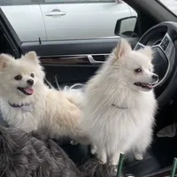 processed/6d6e8318-76b1-4236-b4e4-153238e952cc/facility/f24b3166-fa22-4052-a4d9-6f1c5bcfa669