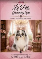 AKC Joey, a male Pomeranian for sale in Wilmington, NC – 4 of 5