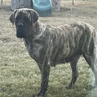 processed/6d71a1ff-96c1-4c69-9359-04c7ae5dcc41/facility/0718ef2a-e6f2-47d2-b6e3-d4682d20d94d