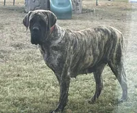 processed/6d71a1ff-96c1-4c69-9359-04c7ae5dcc41/facility/0718ef2a-e6f2-47d2-b6e3-d4682d20d94d