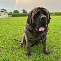 processed/6d71a1ff-96c1-4c69-9359-04c7ae5dcc41/facility/2ea8c3bb-fa3c-4a90-92e0-63e5a451c4fc