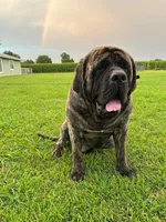 processed/6d71a1ff-96c1-4c69-9359-04c7ae5dcc41/facility/2ea8c3bb-fa3c-4a90-92e0-63e5a451c4fc