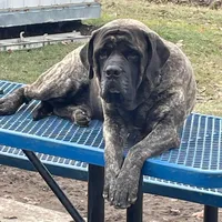 processed/6d71a1ff-96c1-4c69-9359-04c7ae5dcc41/facility/4b2c538e-5e7a-43a1-bd62-4721f0613ede