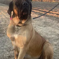 processed/6d71a1ff-96c1-4c69-9359-04c7ae5dcc41/facility/bc0685dc-a88a-46c3-9e7e-1c8387f75695