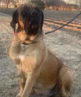 processed/6d71a1ff-96c1-4c69-9359-04c7ae5dcc41/facility/bc0685dc-a88a-46c3-9e7e-1c8387f75695