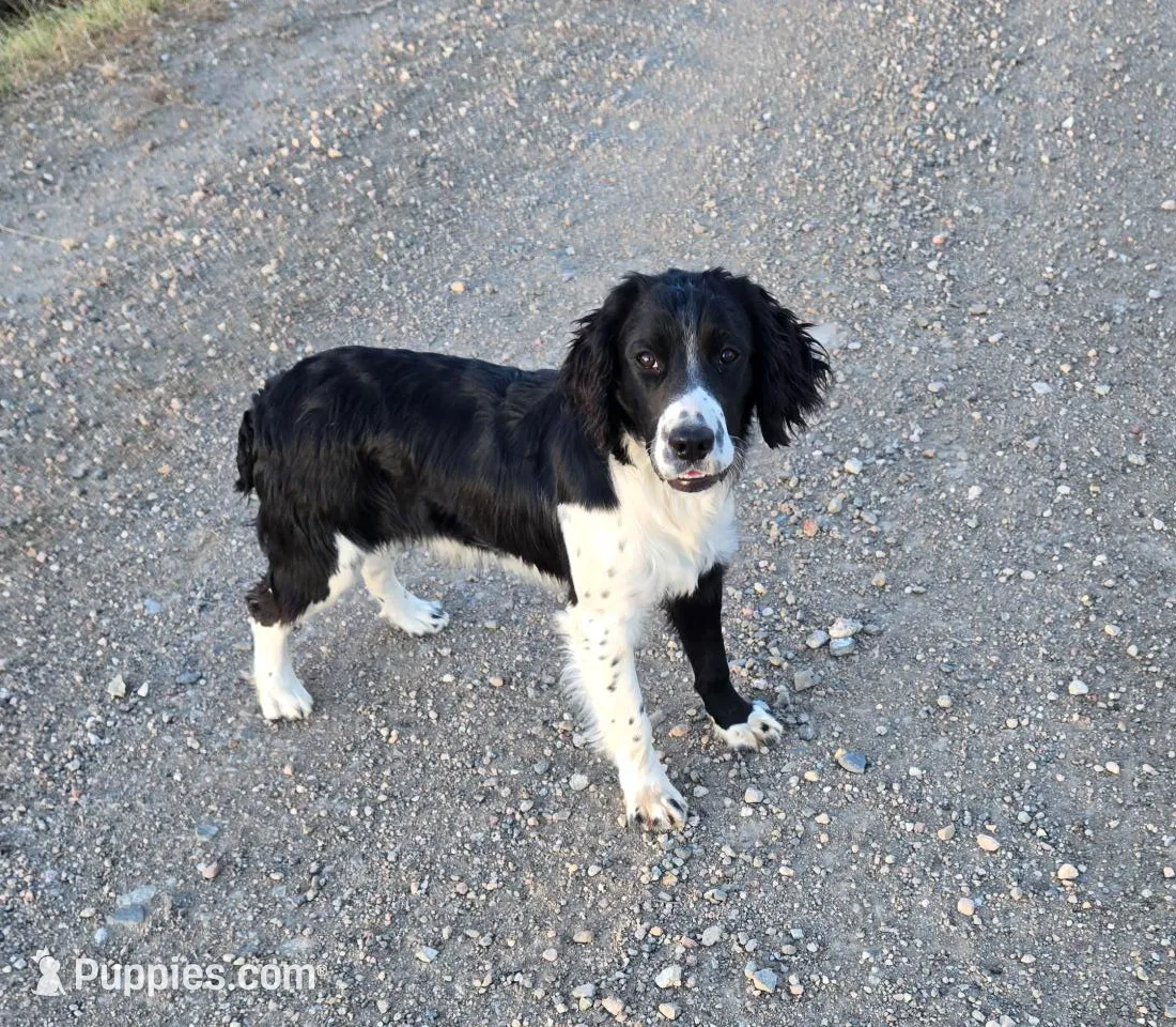 processed/6d750407-b7a9-46ee-8c12-28a3c7d8225f/listing/ea6dbfbf-8241-4de4-a8b9-cac71314cb19/7d9854c7-dd54-4f98-a03a-48457fdf331c