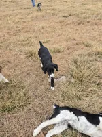 processed/6d750407-b7a9-46ee-8c12-28a3c7d8225f/listing/ea6dbfbf-8241-4de4-a8b9-cac71314cb19/7f0bbed2-116b-42f0-89f3-90f5e7d2c4da