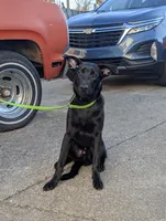 processed/6d760a28-d863-4f8c-8d12-58d137d9f7da/listing/3952274f-17b9-47bd-92e8-4a618a0e9616/07fcf476-04f4-49cd-ac21-24d1bfce9fef